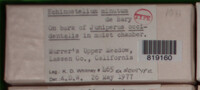 Image Associated With the Occurence